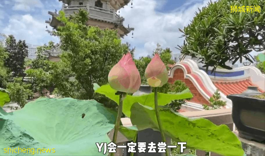 新加坡10间最灵验寺庙，烧香祈福必去