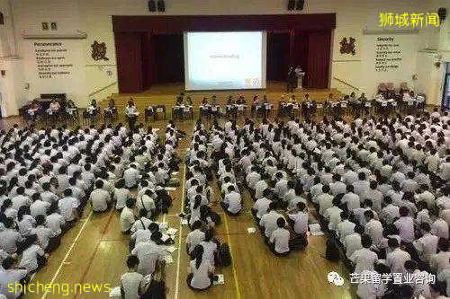 由幼兒園到大學新加坡全階段教育介紹