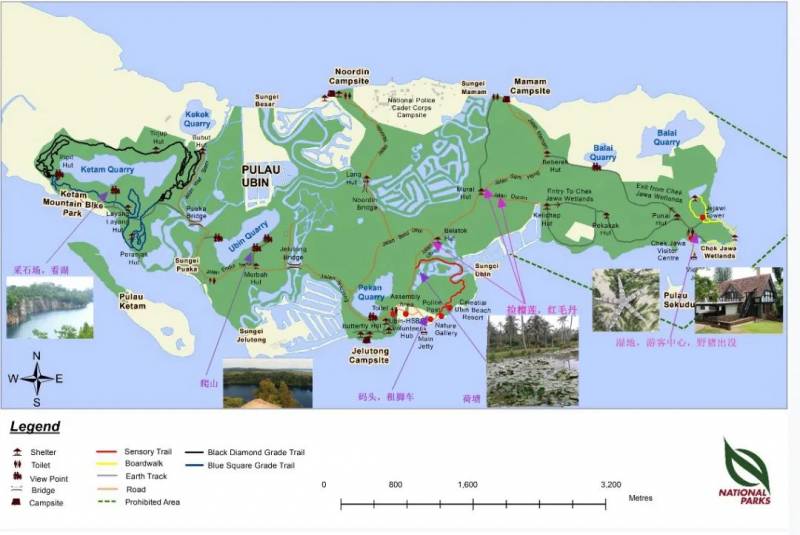 省钱！新加坡5个最美离岛攻略，花十几新币仿佛“出国游”