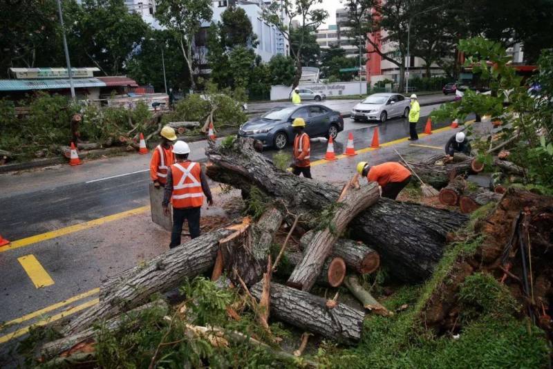 犹如世界末日！实拍新加坡被海啸云“吞没”！暴雨、发大水、树倒