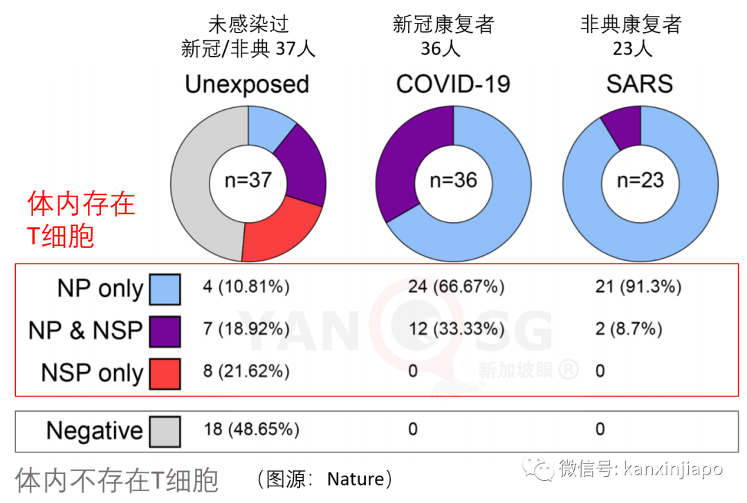 新加坡今增XXX，累计YYYYY | 你的血型容易感染新型冠状病毒吗？