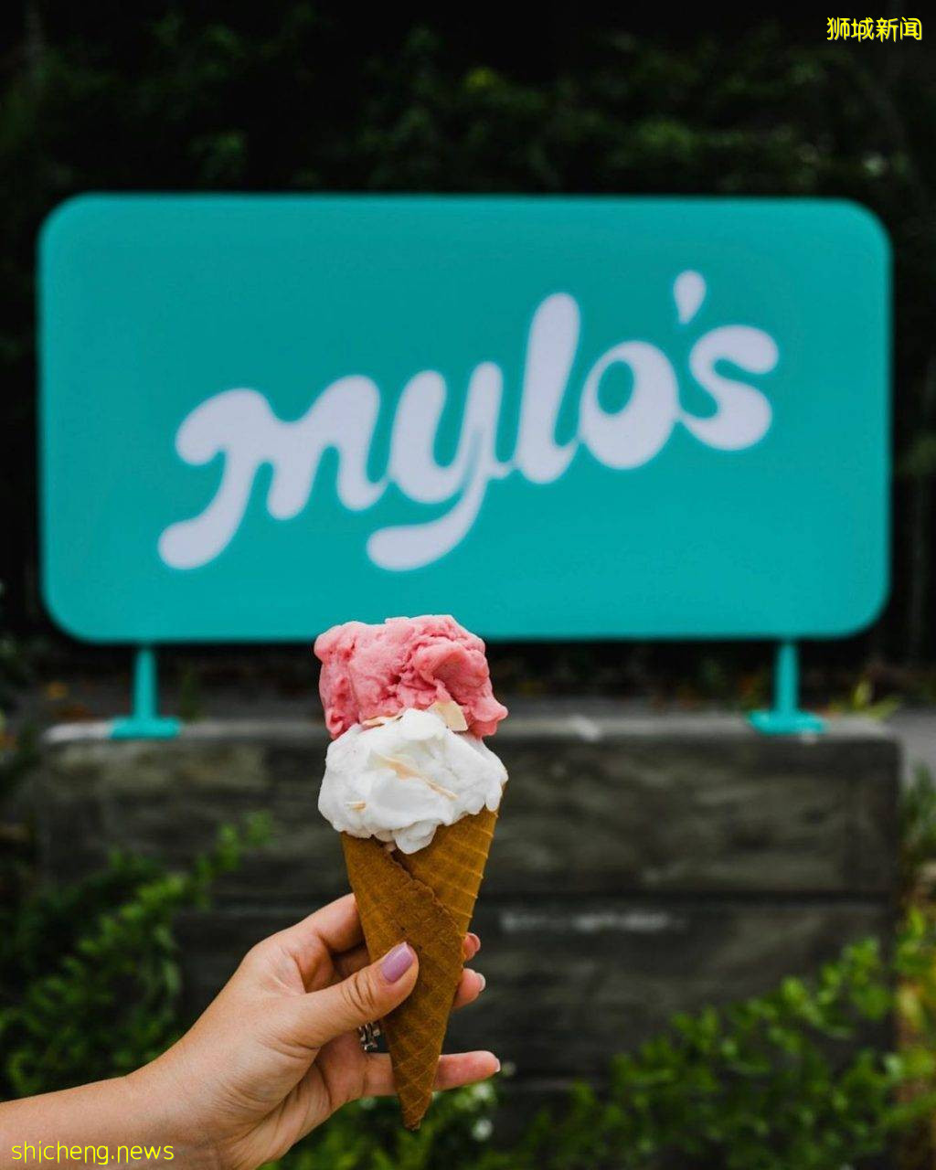 滨海湾花园新玻璃房Cafe“Mylo's”✨手作Gelato味道纯正、防暑解热必备🍨宠物友好、提供狗狗零食🦮 