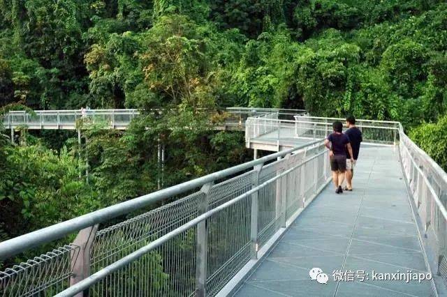 帶你逛南部山脊徒步路線，別錯過這7個自然景觀