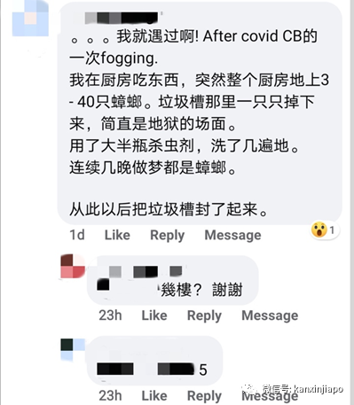 市镇会消毒垃圾槽，住家反被蟑螂大军“入侵”