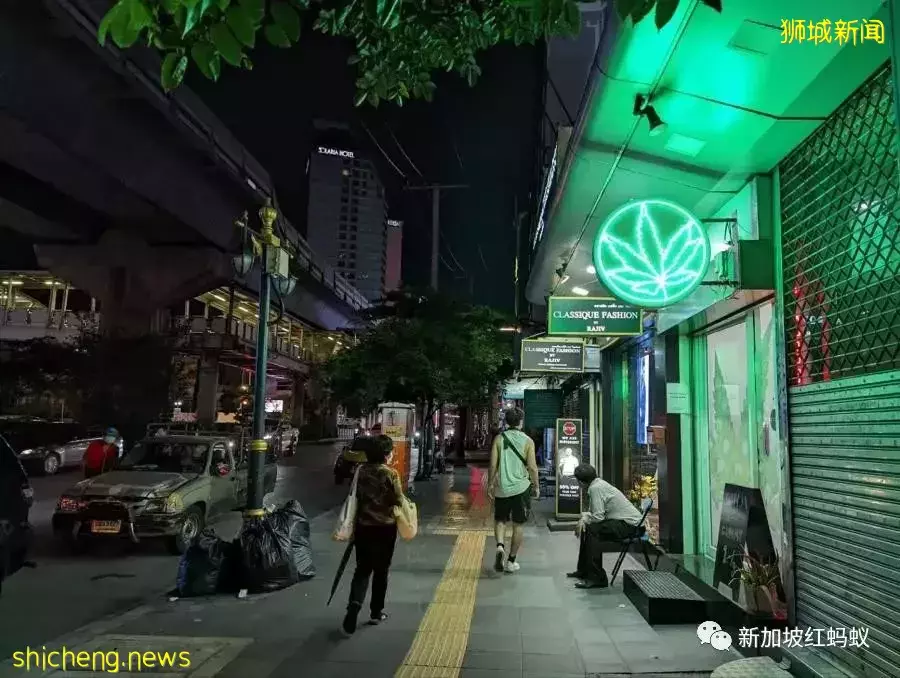 泰国推广大麻用途　新加坡人可看不可试，以免乐极生悲