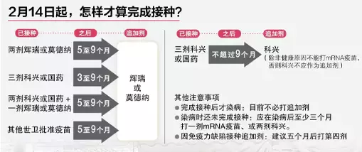 何时打？打什么？最新补充剂政策全解答