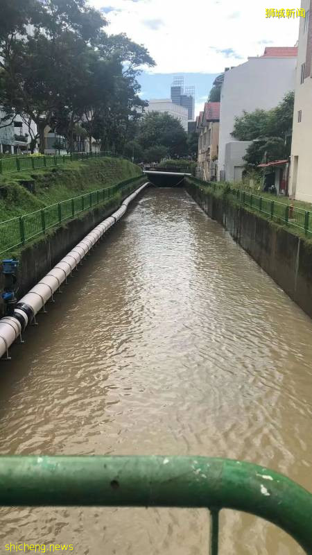 今天，新加坡被大暴雨淹沒了