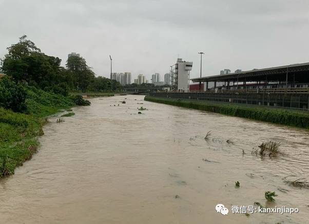 晴天大草原，暴雨成黄河！一场豪雨秒懂新加坡排水系统