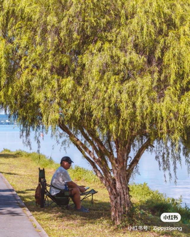 开启休闲模式 步入新加坡仙境 Rower's Bay Park！水路之间木板栈道、环岛骑行唯美景观