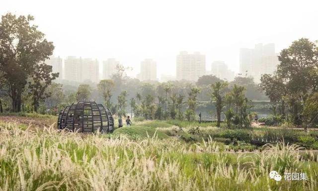 生物友好型景观设计——新加坡裕廊湖畔花园