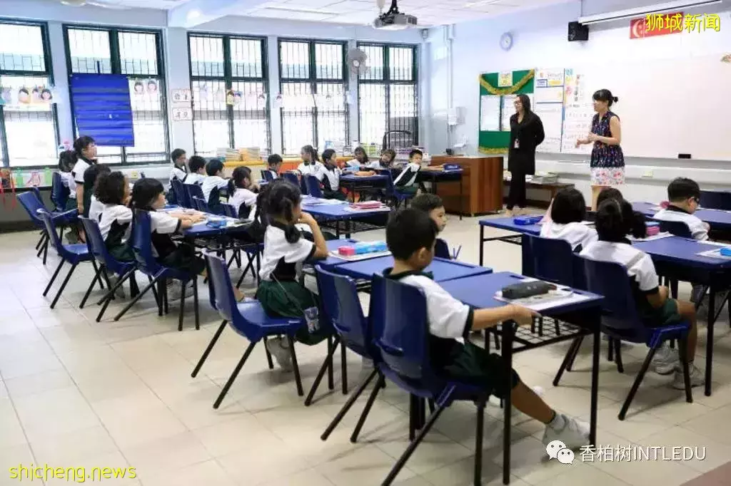 很多父母都想了解的新加坡教育
