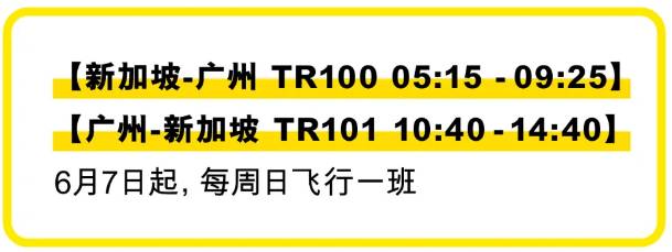 郑州航班恢复！新加坡往返中国各大城市航班信息＋入境、隔离政策拿好不谢