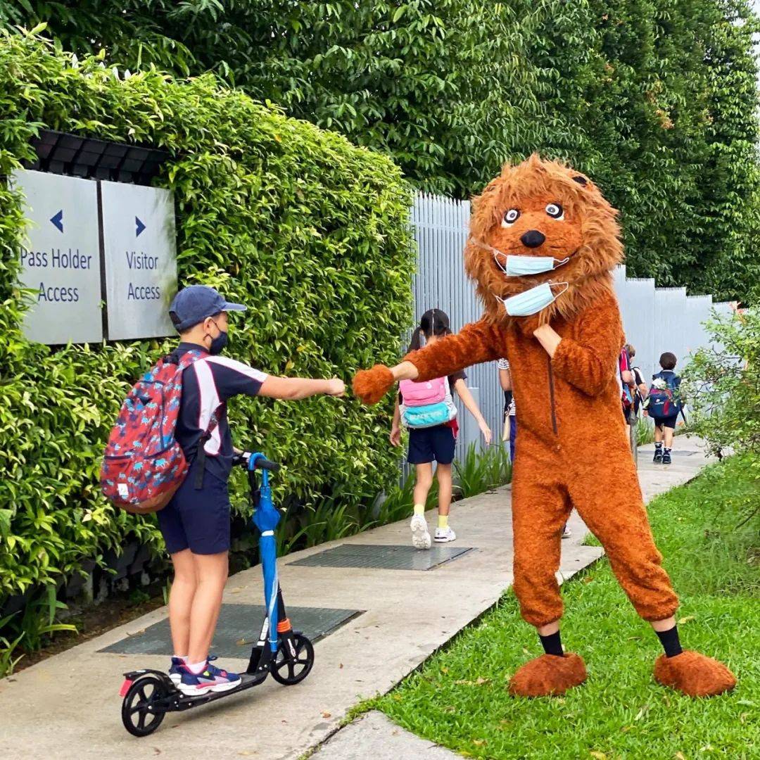 新加坡留学 明星贵族都选择的国际学校：新加坡史丹福美国国际学校SAIS