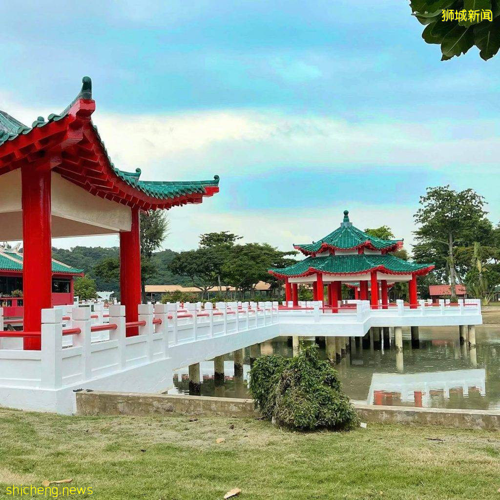 在快艇上享受下午茶！吃美食，吹海风，赏美景，还能去周边小岛上散散心