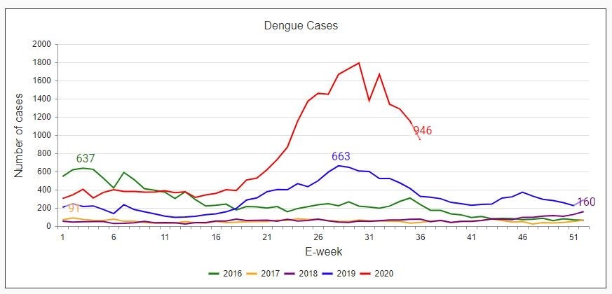 本地上周新增946起登革热病例 今年累计超2万8300例