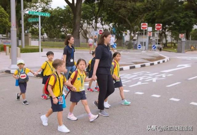 新加坡教育体系｜幼儿园