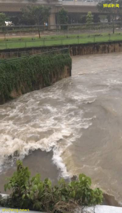 今天，新加坡被大暴雨淹沒了!