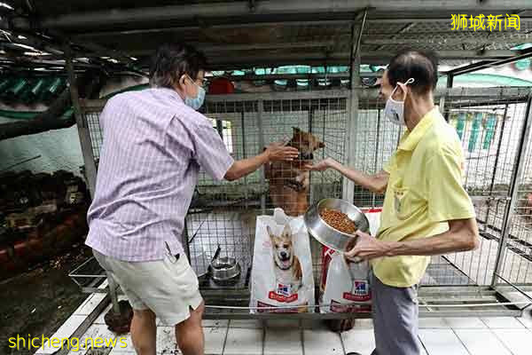 不忍狗困笼吃残羹剩饭  妇女向庙宇领养被拒