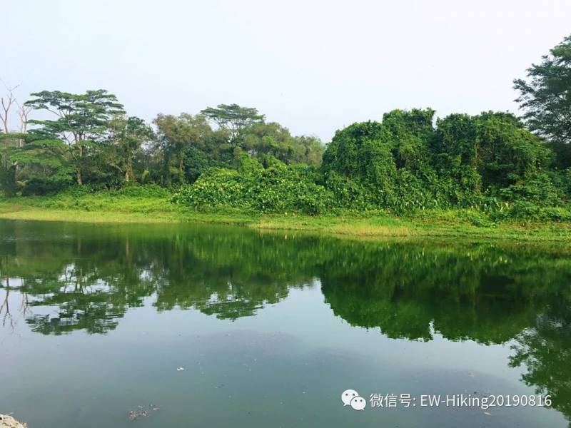 卡迪至山景（丛林探索之旅）