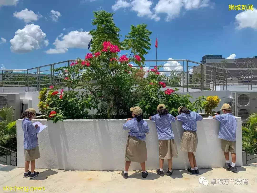 新加坡国际学校【5】米德尔顿国际学校 Middleton International School