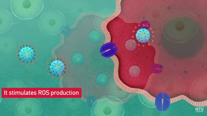 重大突破！南洋理工大學最新研究無藥物抗癌療法