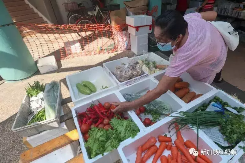 新加坡樣樣起價了？　食品與年貨價格近期“水漲船高”