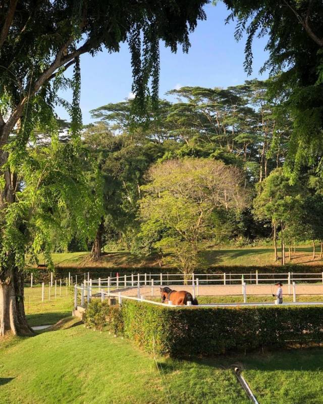 新加坡隱世咖啡廳！藏在馬場裏的Riders Cafe🐎 來一場慵懶偷閑早午餐，治愈那顆想旅遊的心