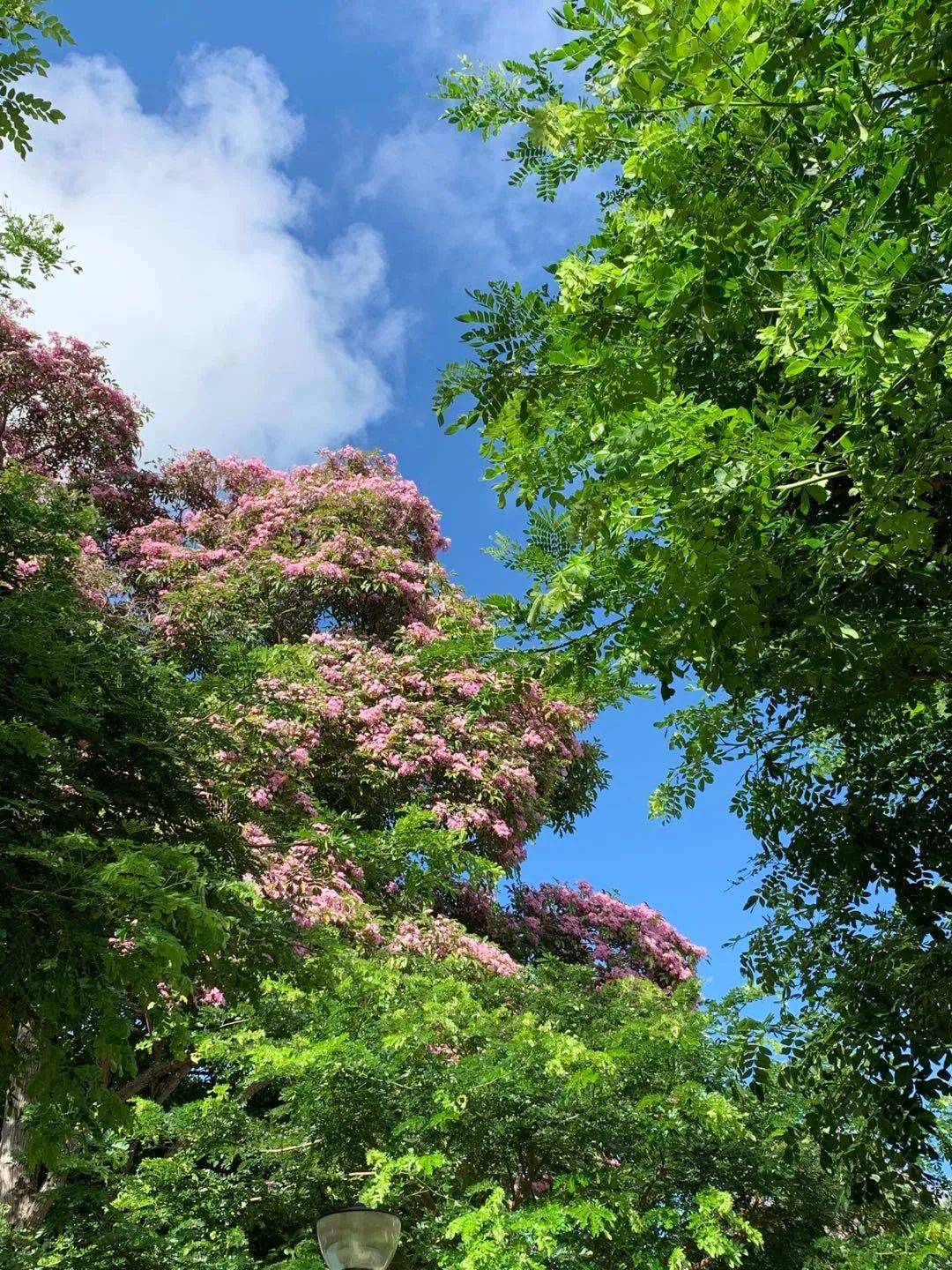 行走狮城——东海岸公园