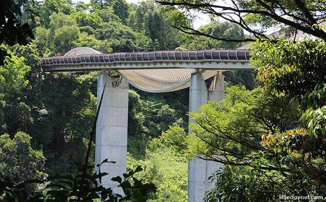 13個新加坡最好玩的公園！野餐，徒步，釣蝦，捕螃蟹