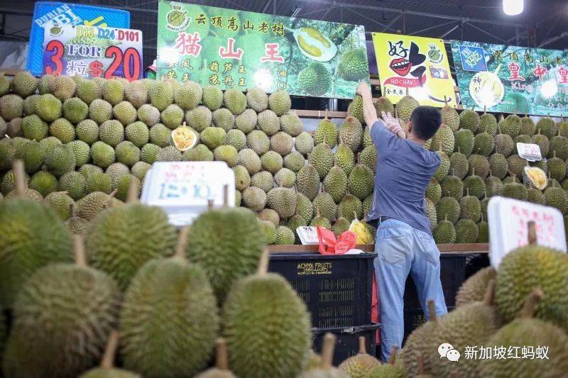 果断收藏！有了这份指南到新马买榴梿就不会被砍菜头