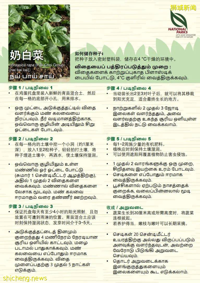 新加坡公園局又派發種子啦！已開放申請！還有教程教你怎麽種