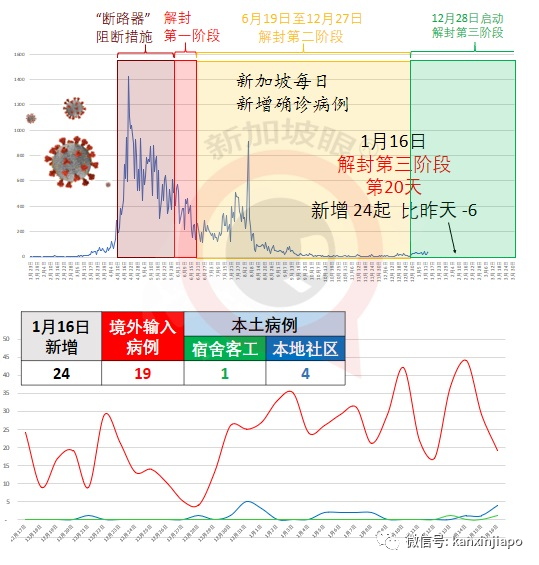 今增24，本土5 | 新加坡童军总部男职员确诊；WHO预测2021疫情更严峻