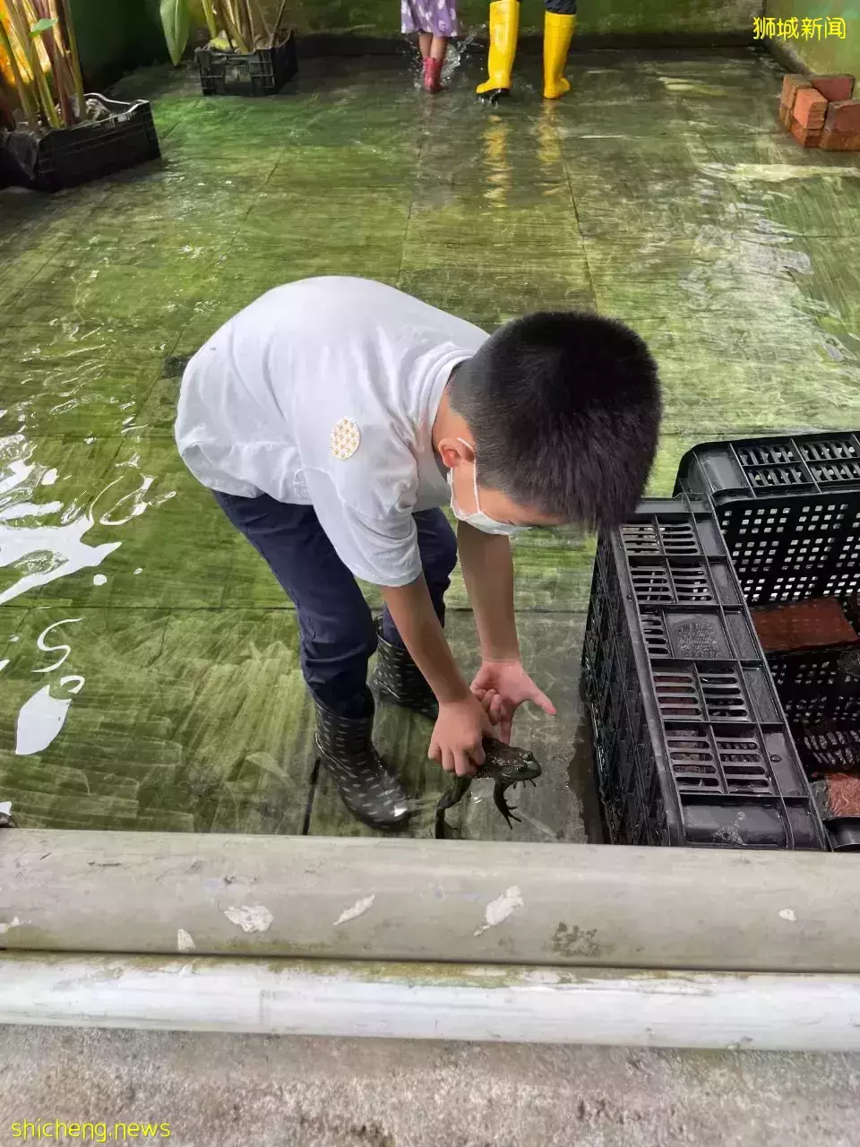 下水抓蛙、摘菜摸魚、開土摩托……我帶娃體驗了一把新加坡的農家樂