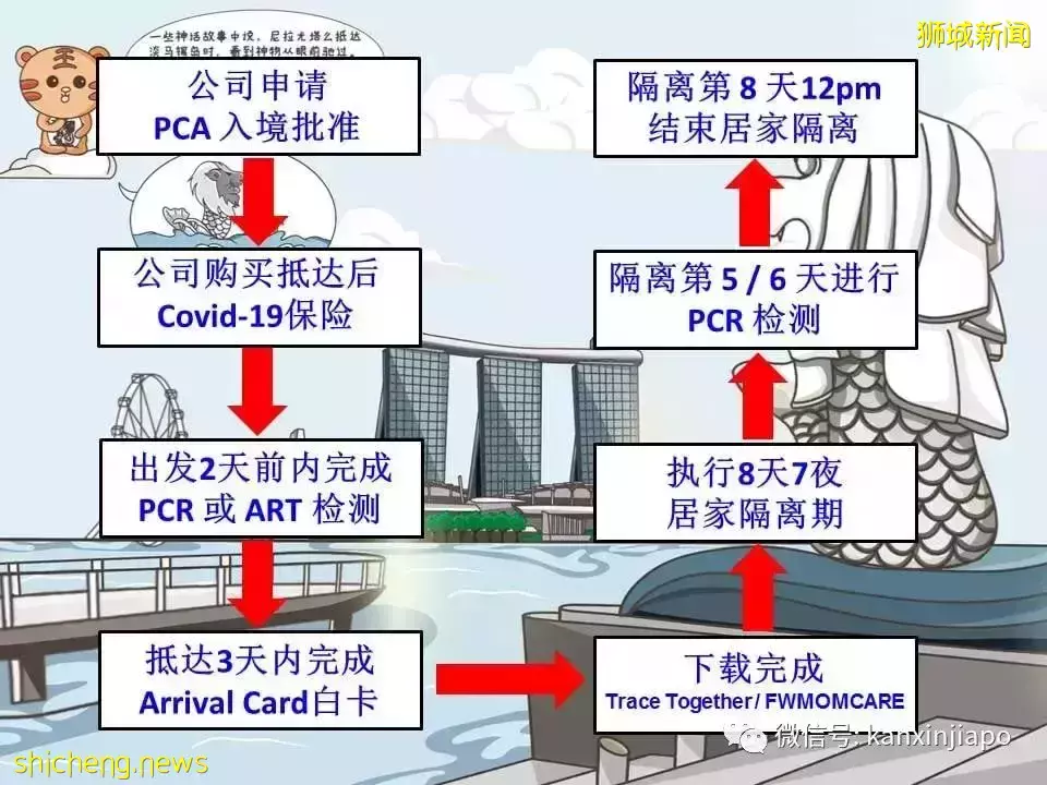 最新攻略！抢不到VTL车票，但还是想回马国过年怎么办