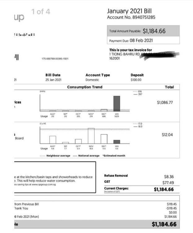 新加坡水电费账单国内意外走红！被网友调侃“太老土了”