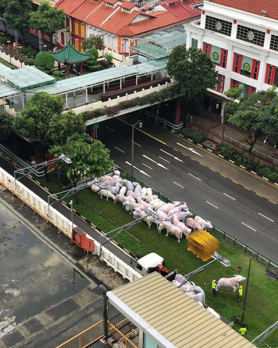 牛車水的新年燈飾來了！網友：像個養牛場一樣