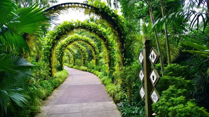 新加坡植物园，真的是个风景如画的好地方呢~（一）