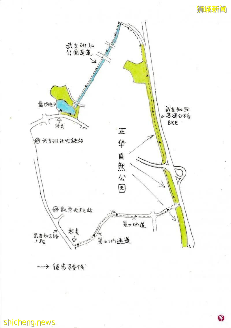 在那偏远的山头走一回新加坡最狭长的公园，看洋房、濒水组屋和明澈如镜的盘沙池