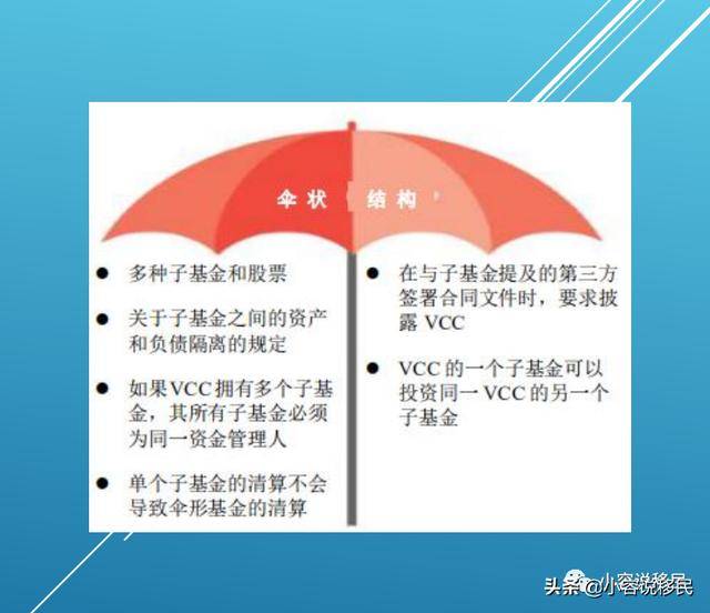 新加坡——可变动资本公司（VCC） 