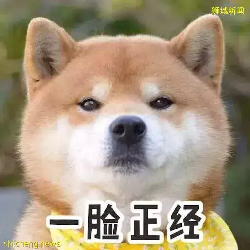 新加坡爲什麽沒有狂犬病？連本地人都不知道的一段黑曆史