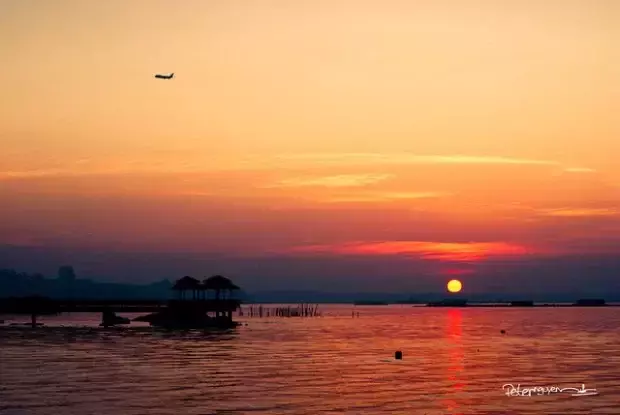 去趕海啦！新加坡海灘竟然也有寄居蟹、花蟹、龍蝦、海星