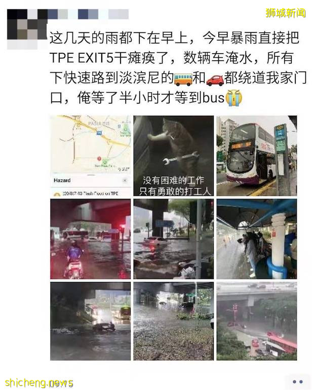 新加坡大暴雨：马路变河、草坡变瀑布！25人被困，1人送医