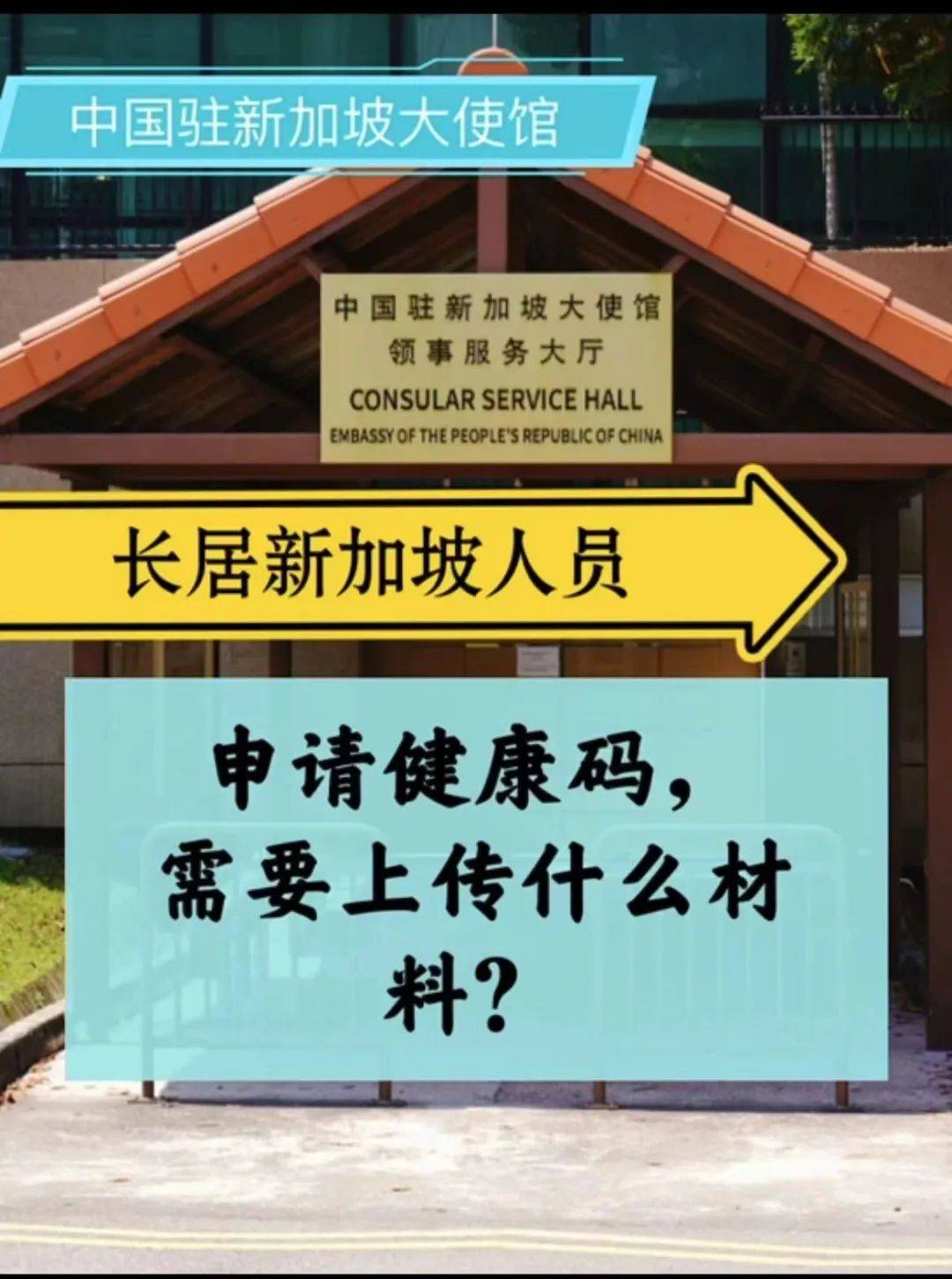 中国驻新加坡使馆重要通知：材料不规范耽误登机！最新回国流程