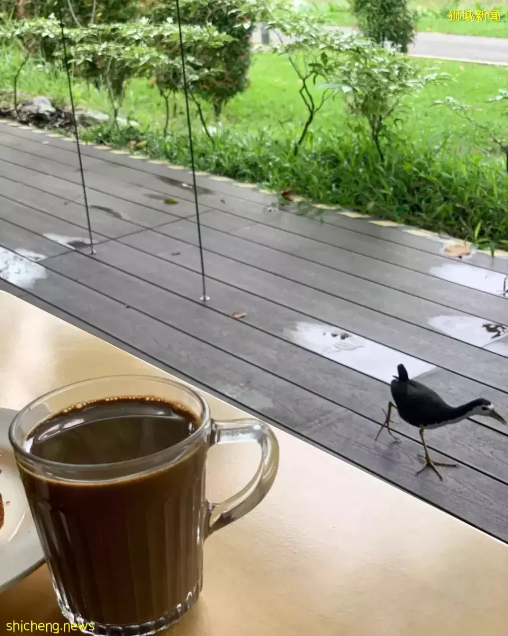 超美水边安静Cafe大盘点！美食美景我全都要 