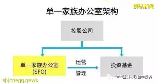 新加坡家族办公室，超级富豪们进行家族财富传承的有效方式