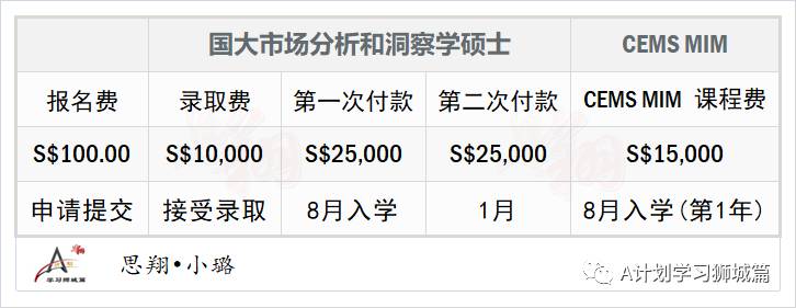 新加坡國立大學商學院—市場分析和洞察學碩士申請