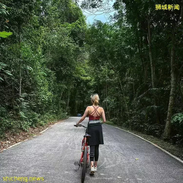 走出钢骨都市，返璞归真特辑🍃精选7大自然景点，带你感受原生态新加坡🌳 