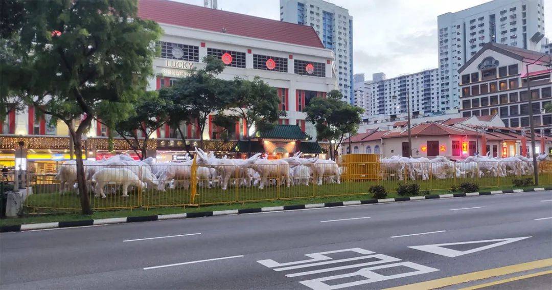 牛車水的新年燈飾來了！網友：像個養牛場一樣