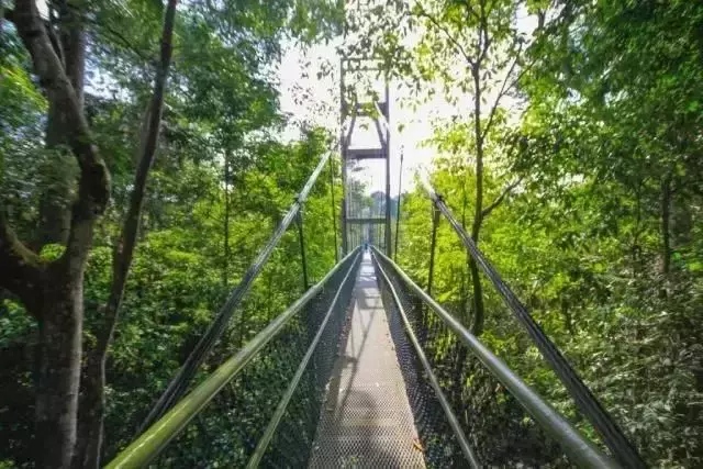 新加坡人深夜排隊，翻新一年多的網紅景點又開了