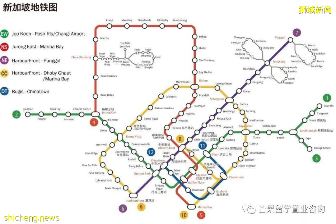 了解新加坡发达交通系统，出门留学再也不用发愁 